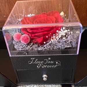 Red Preserved Rose in Black Box